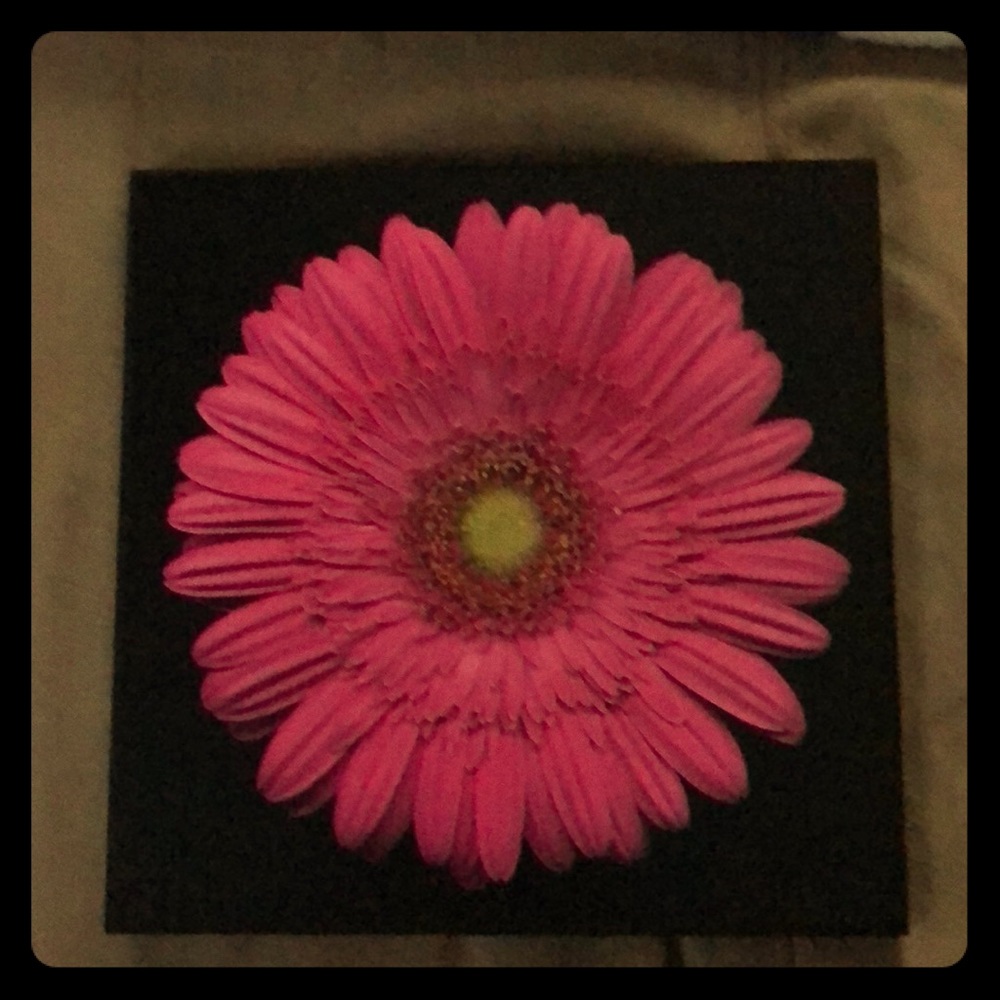 HOME Pink Daisy Wall Plaque